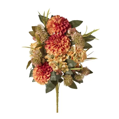 Zinnia ortensia frontale cm.50 arancio