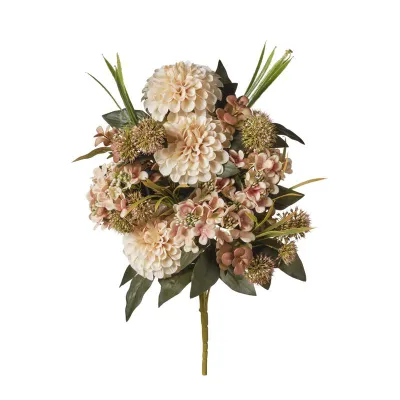 Zinnia ortensia frontale cm.50 crema 