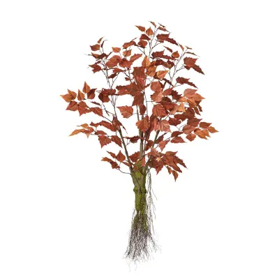 Testa albero betulla cm.90 rosso