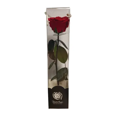 Rosa pres. con stelo h30 rosso
