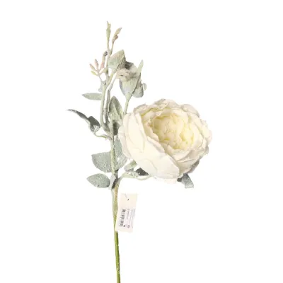 Rosa cabbage cm.65 bianco