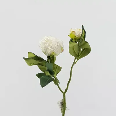 Peonia cm.50 bianco