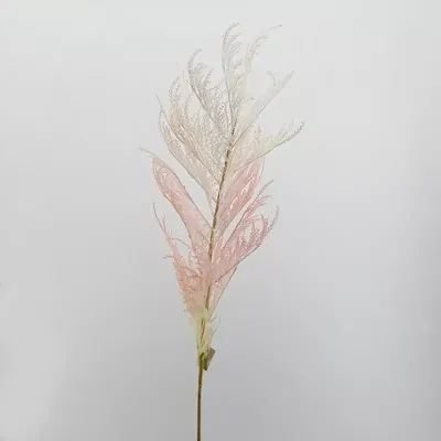 Pampas ramo cm. 115 rosa
