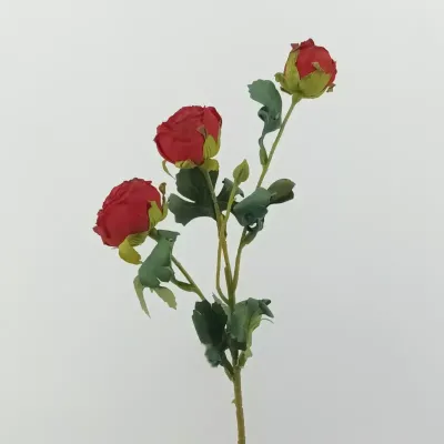 Ranuncolo ramo cm.52 rosso