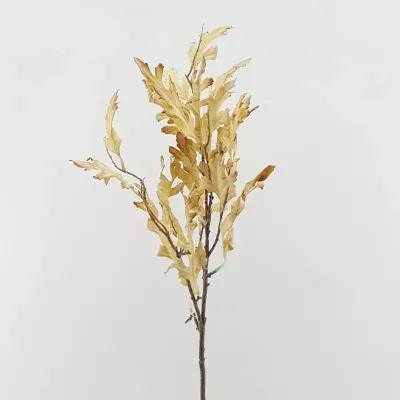 Quercia ramo cm.80 crema