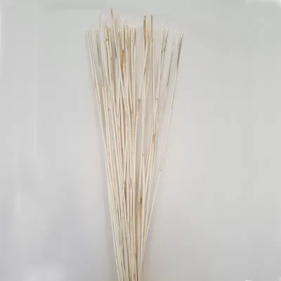 Elephant reed bianco mt.1 (40 pz)