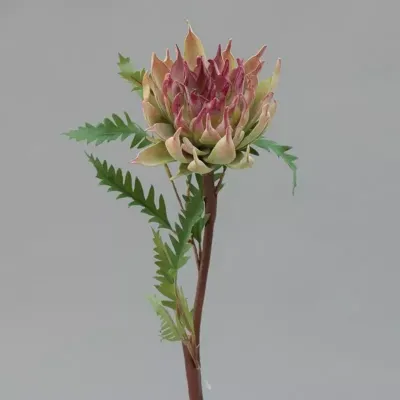 Protea cm.58 purple