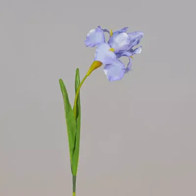 Iris ramo cm.63 lavender