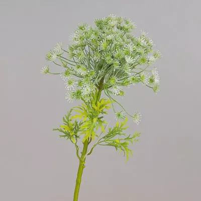 Achillea cm.65 bianco