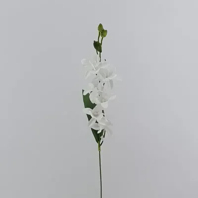 Dendrobium ramo cm.63 bianco