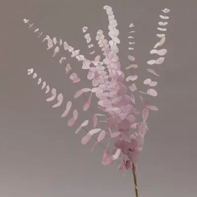 Eucalipto foam cm.99 lilla