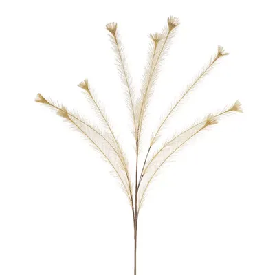 Foam v cattail beige