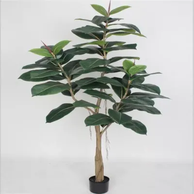 Cv-albero della gomma h.180