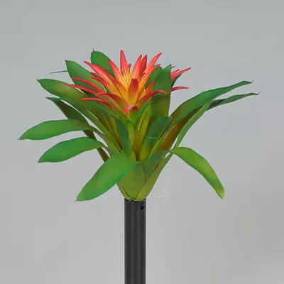 Cactus mini cm.25 arancio