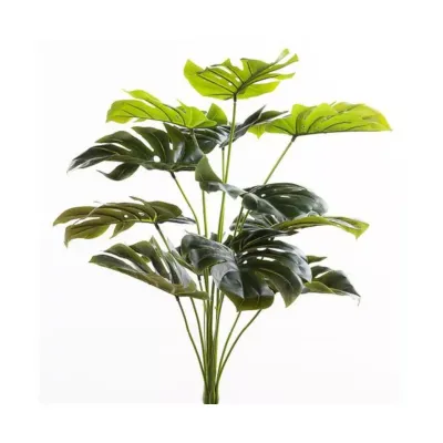 Sv-monstera cm.60 verde