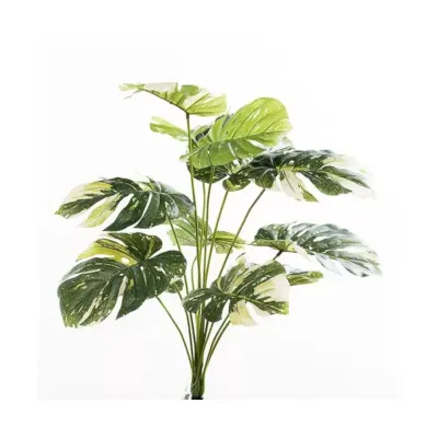 Sv-monstera cm.60