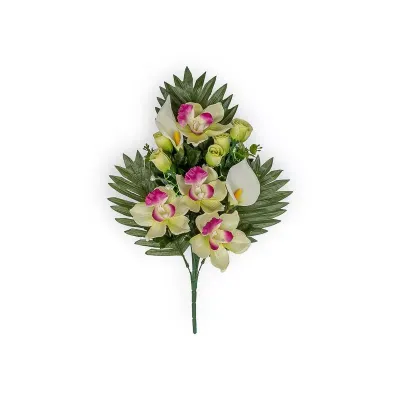 Cymbidium frontale cm.45 verde