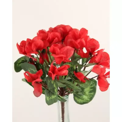 Ciclamino pianta cm.34 rosso