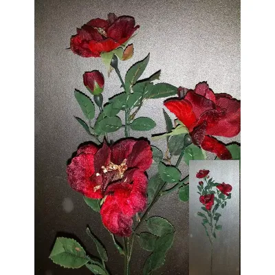 Helleborus rosso