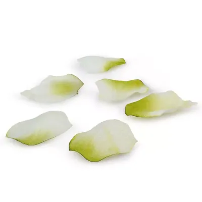 Petali rosa verde crema 6 conf da 144 pz 