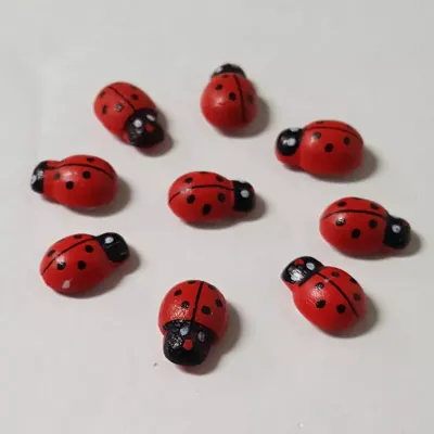 Coccinella adesiva  legno (120 pz.)
