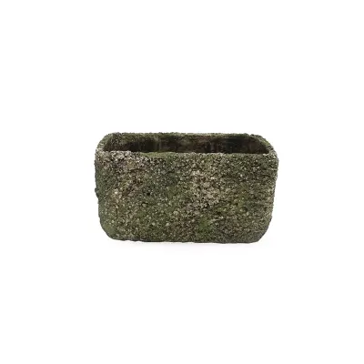 Lm-vaschetta rett.18x10 muschio
