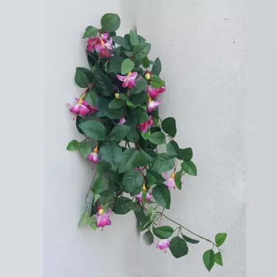 Fuchsia cadente 9 steli cm.78 