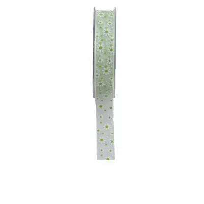 Nastro anina mm.20 m.20 verde