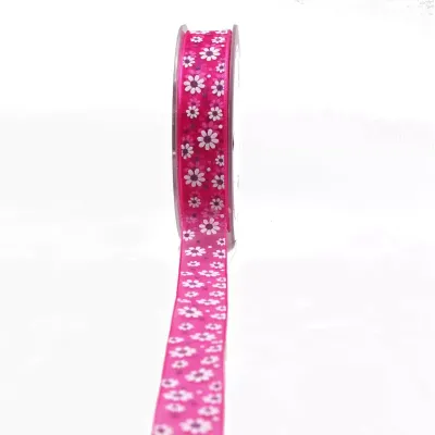 Nastro anina mm.20 m.20 fucsia