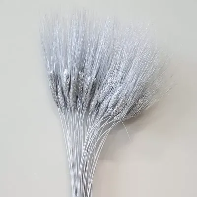 Frumento  baffo argento (50 pz.) 