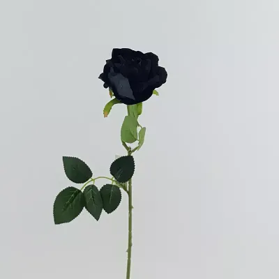 Rosa velvet cm.52 nero