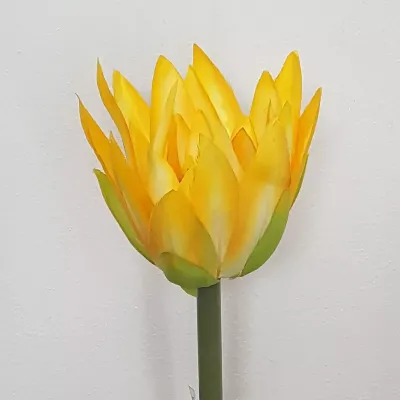 Ninfea stelo cm.73 giallo