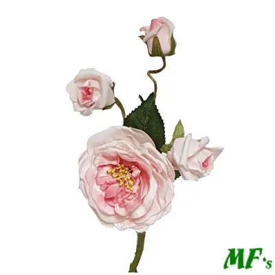 P4-foam rosa pick rosa