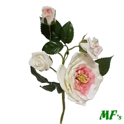 P4-foam rosa pick crema/rosa