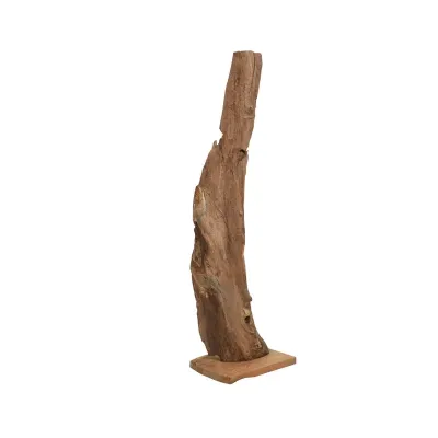 Radice teak con base h.150