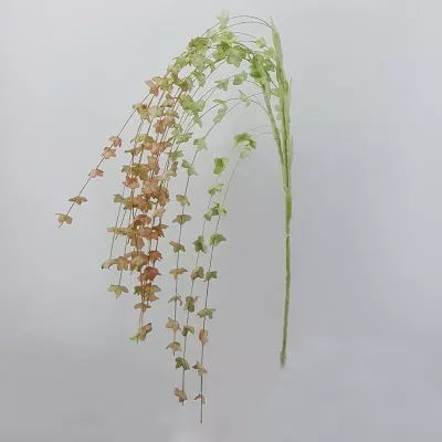 Biancospino cadente foam verde-rosa