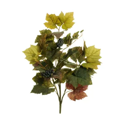 Vite bush con grappoli