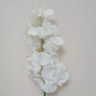 Vanda 9 fiori cm.85 bianco