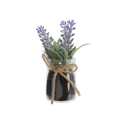 Lavanda in vaso vetro