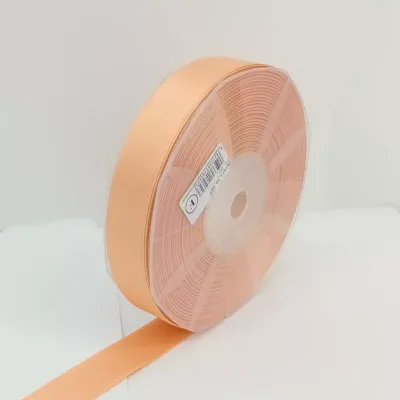 Nastro dri mm.25 m.50 arancio albicocca