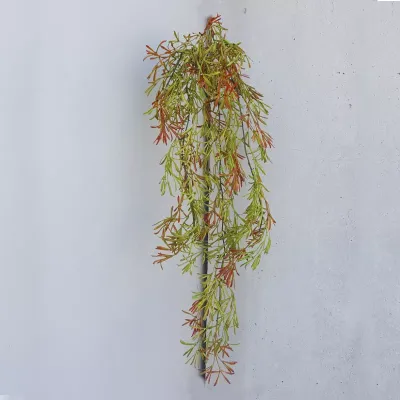 Asparagus cadente cm.80 verde/malva