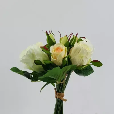 German rose bundle crema