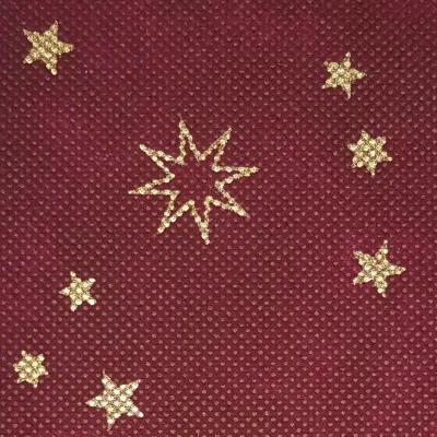 Bobina tn 0,53x09 cielo stel.et. amaranto