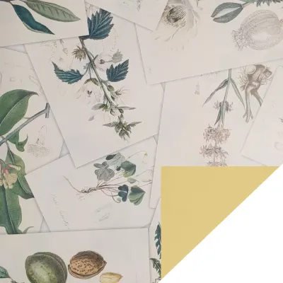 Bobina cpr 1x25 botanical prof. giallo