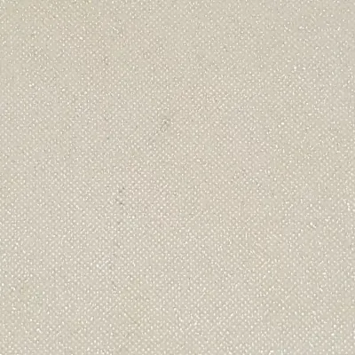 Bobina tn 0,80x09 etoffe glitter avorio