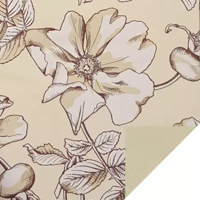 Bobina cp 1x25 magnolia crema