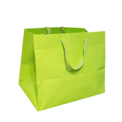 Shopper lus. 36x25 (5 pz)