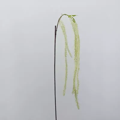 Amaranthus suisui ping cm.130 bianco