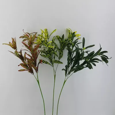 Dracena cm.82 assortita
