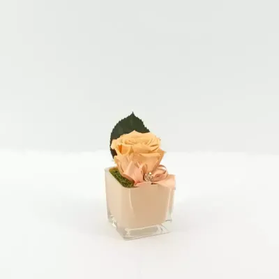 Rosa preserv. cubo 06 pesca